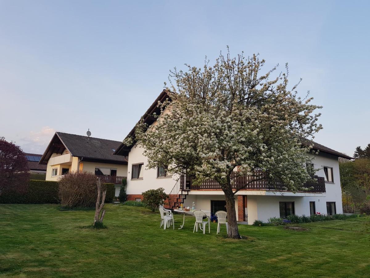 Ferienwohnung-Wald Wald  Exterior photo